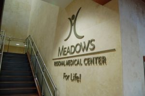 Meadows Regional Medical Center Alamat