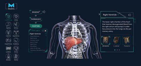 Medical Education Ui