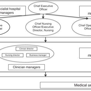 Medical Managers In Senior And Middle Management Download Scientific