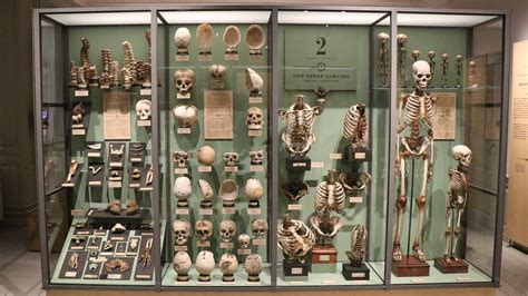 Medical Museums