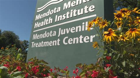 Mendota Mental Health Services