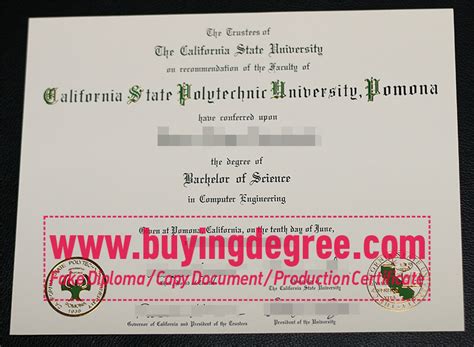 Cal Poly Pomona Mental Health Degree