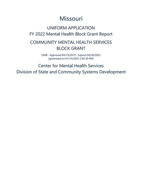 Mental Health Service Block Grant