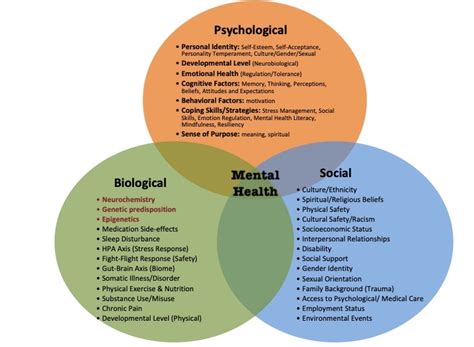 Mental Health Social Science Lens