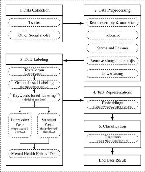 Mental Illness Detection Dataset