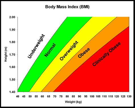 Mercer Health Bmi Calculator