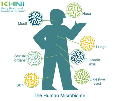 Microbiome And Health