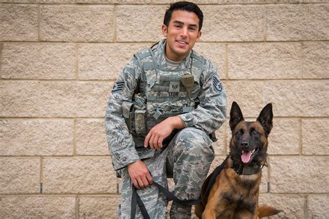 Air Force Military Dog Handler