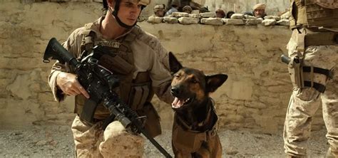 Military Dog Movie