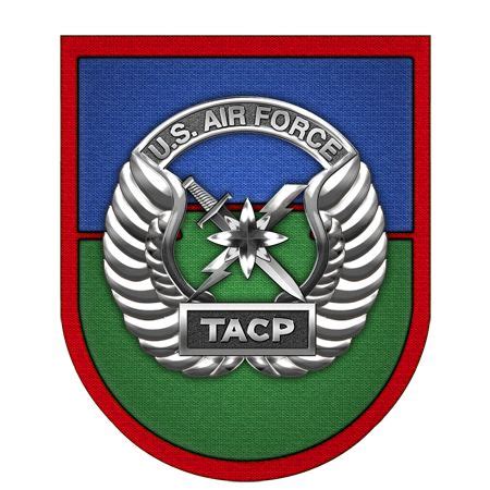 Military Insignia 3D Afsoc Special Tactics Tacp Cct Pj And Sowt