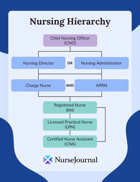 Military Nurse Ranks