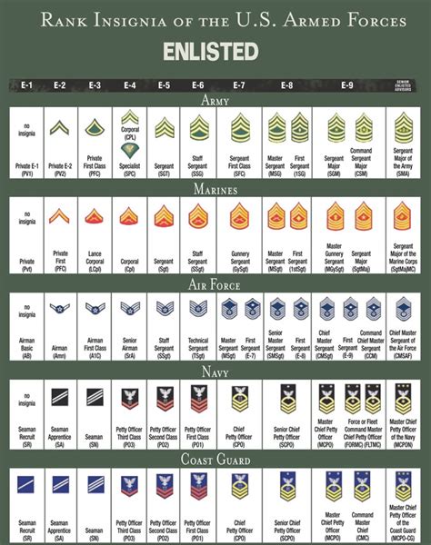 Military Rank Comparison By Branch