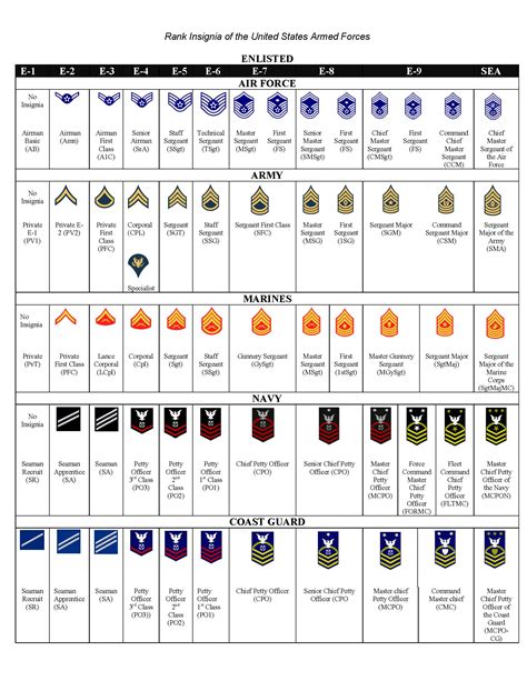 Military Rank Insignia Chart Printable