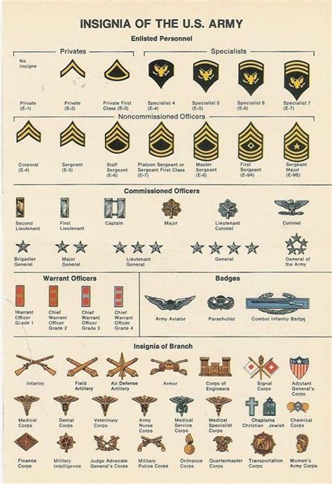 Military Ranks And Insignia Guide