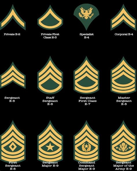 Military Ranks Hierarchy