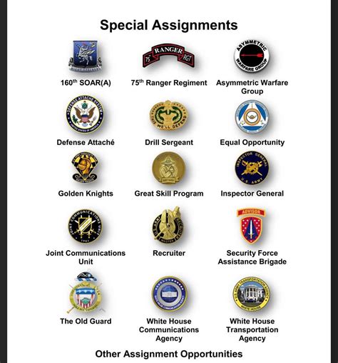 Military Specialty Examples