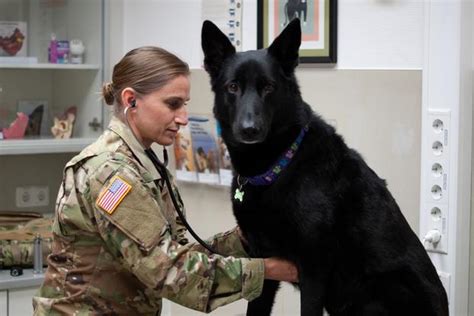 Military Veterinarian Salary