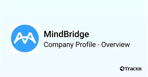 Mindbridge Company