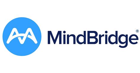 Mindbridge Platform