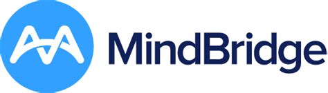 Mindbridge Tool