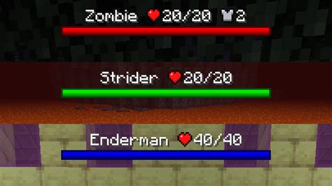 Minecraft Txf Health Indicator