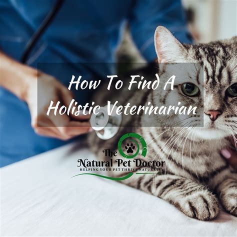 Mobile Holistic Vet Near Me