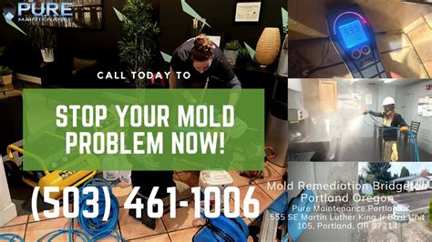 Mold Doctor Portland Oregon