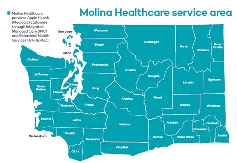 Molina Provider Search Washington