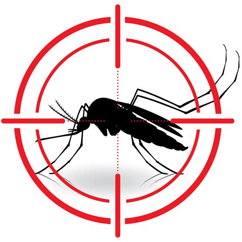 Mosquito Control