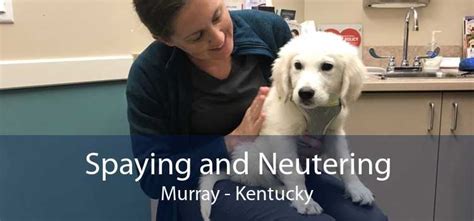 Murray Ky Veterinary Clinics