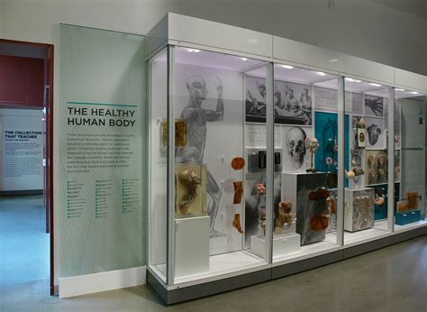 Museum of Health and Medicine Exhibits