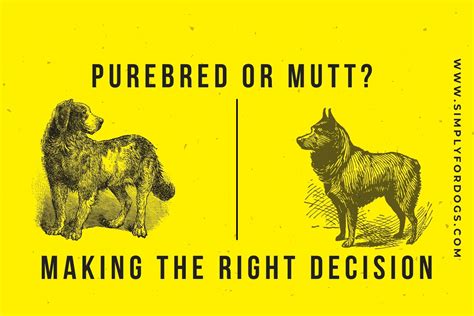 Mutt Vs Purebred Genetic Health