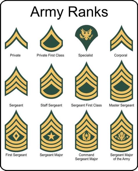 Name A U S Army Rank Text Or Die