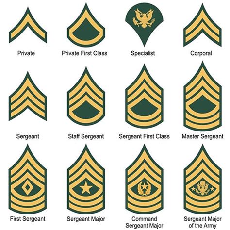 National Guard Enlisted Ranks