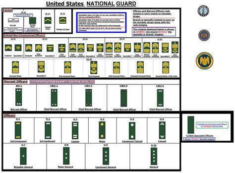 National Guard Reserve E4 Pay Navy Visual