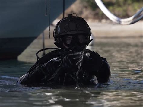 Nato Turned To Elite Divers To Test Sabotage Protections For Critical