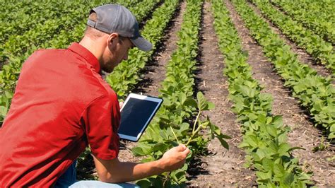 Natural Farm Career