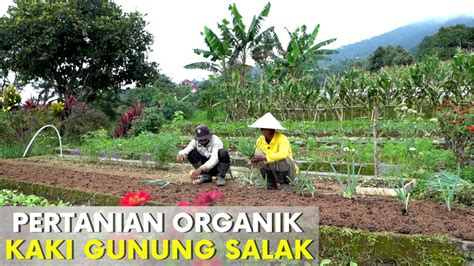 Natural Farm Indonesia