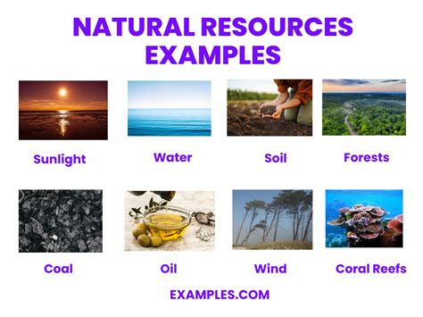 Natural Resources Job Examples