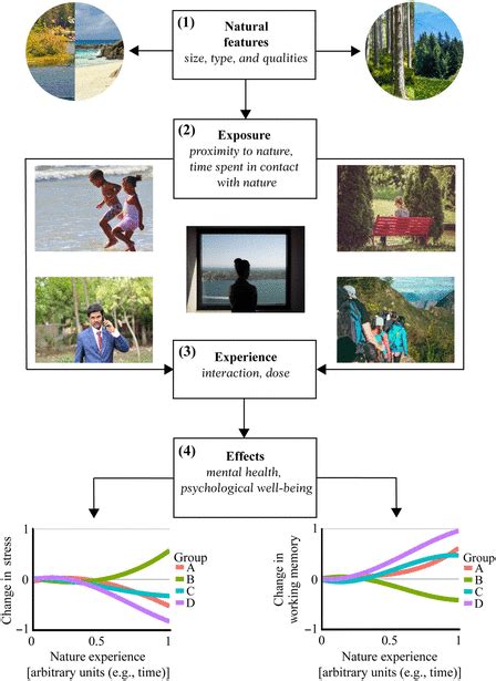 Nature And Mental Health An Ecosystem Service Perspective Science Advances