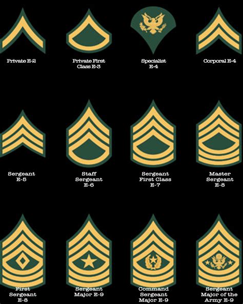 NCO Army Ranks In Order