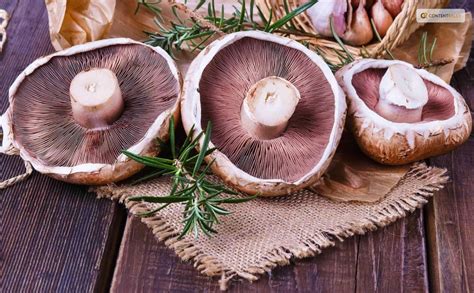 Negative Effect Of Portobello Mushrooms