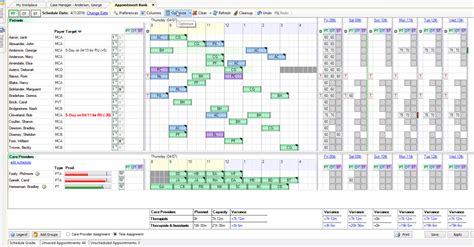 Net Health Therapy Documentation