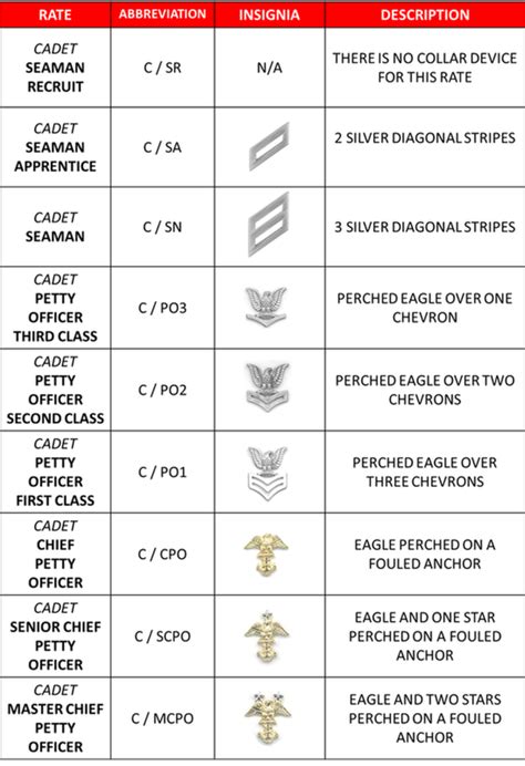 Njrotc Promotions Rank Insignia