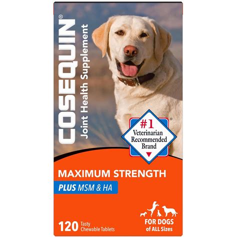 Nutramax Cosequin Maximum Strength Ds