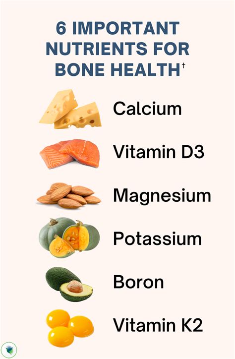 Nutrients Important For Bone Health