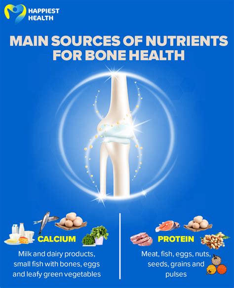 Nutrition And Bone Health