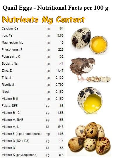 Nutritional Value Of Quail Eggs