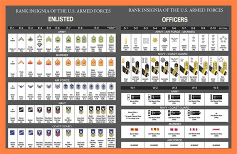 5 US Army Officer Insignia