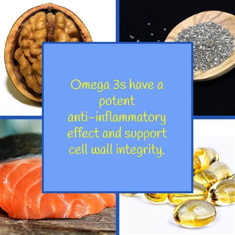 Omega 3S Are Important To Your Health And Development